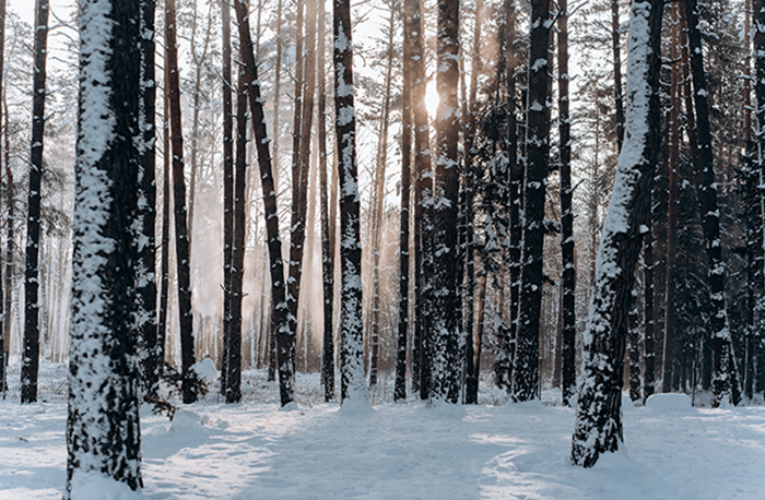 Building a new energy system must be on intrinsic safety